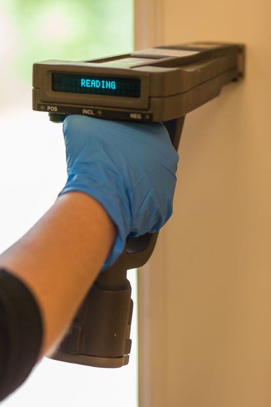 Lead Inspection