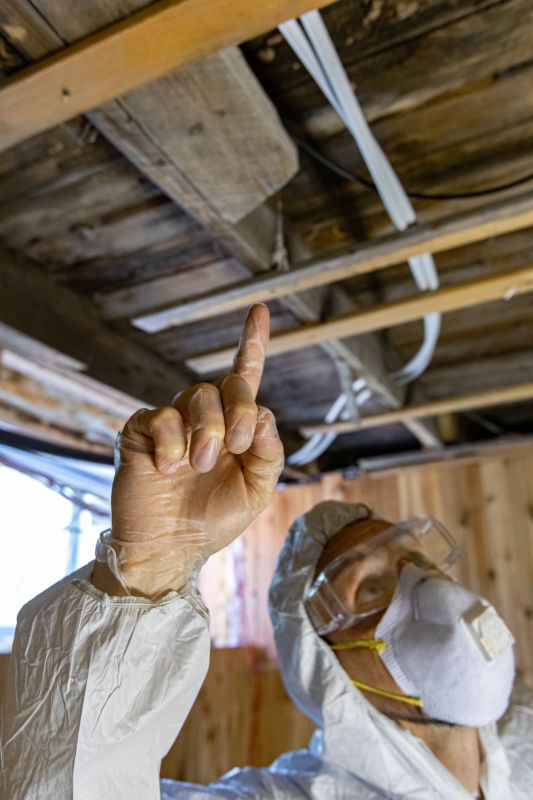 Understanding Lead Inspection Costs — Cost of Lead Inspection